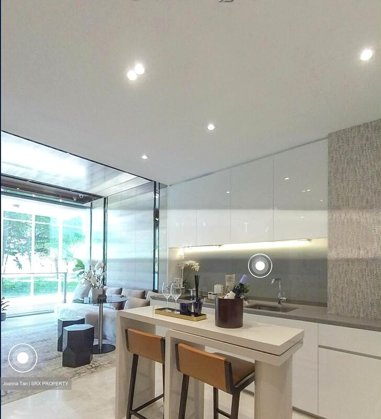 Amber Park (D15), Condominium #520866201